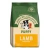 James Wellbeloved Puppy Lamb And Rice 2Kg -Kurgo Shop 00002681 large