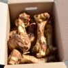Roast Bone Full Size Box Of 10 -Kurgo Shop 00036860 large