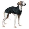 Ancol Whippet Dog Coat 43cm -Kurgo Shop 00038904 large