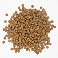 Dr. Dr Green Active Working Dog Food 13kg