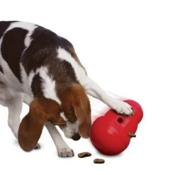 Kong Wobbler - Small