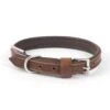 Ancol Vintage Leather Padded Collar Chestnut - 28-36cm (Size 3)