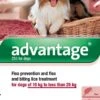 Advantage 250 Spot-On For Dogs (4 Pipetts) 2 Advantage 250 Spot-On For Dogs (4 Pipetts) -Kurgo Shop 00889664 large