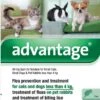Advantage 40 Spot On For Small Cats/Dogs/Rabbit (4 Pipetts) -Kurgo Shop 00889665 large