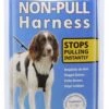 Coachi Halti Non Pull Harness Medium 2 Coachi Halti Non Pull Harness Medium -Kurgo Shop 00897989 large