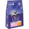One Kitten/Junior Chicken And Whole Grains 2.8kg -Kurgo Shop 00900013 large