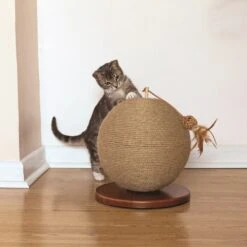 Parsley Cat Scratcher