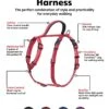 Coachi Halti Walking Harness Red X Small 2 Coachi Halti Walking Harness Red X Small -Kurgo Shop 00907285 large