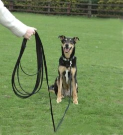 Coachi Training Line 5 Metre Navy & Lime