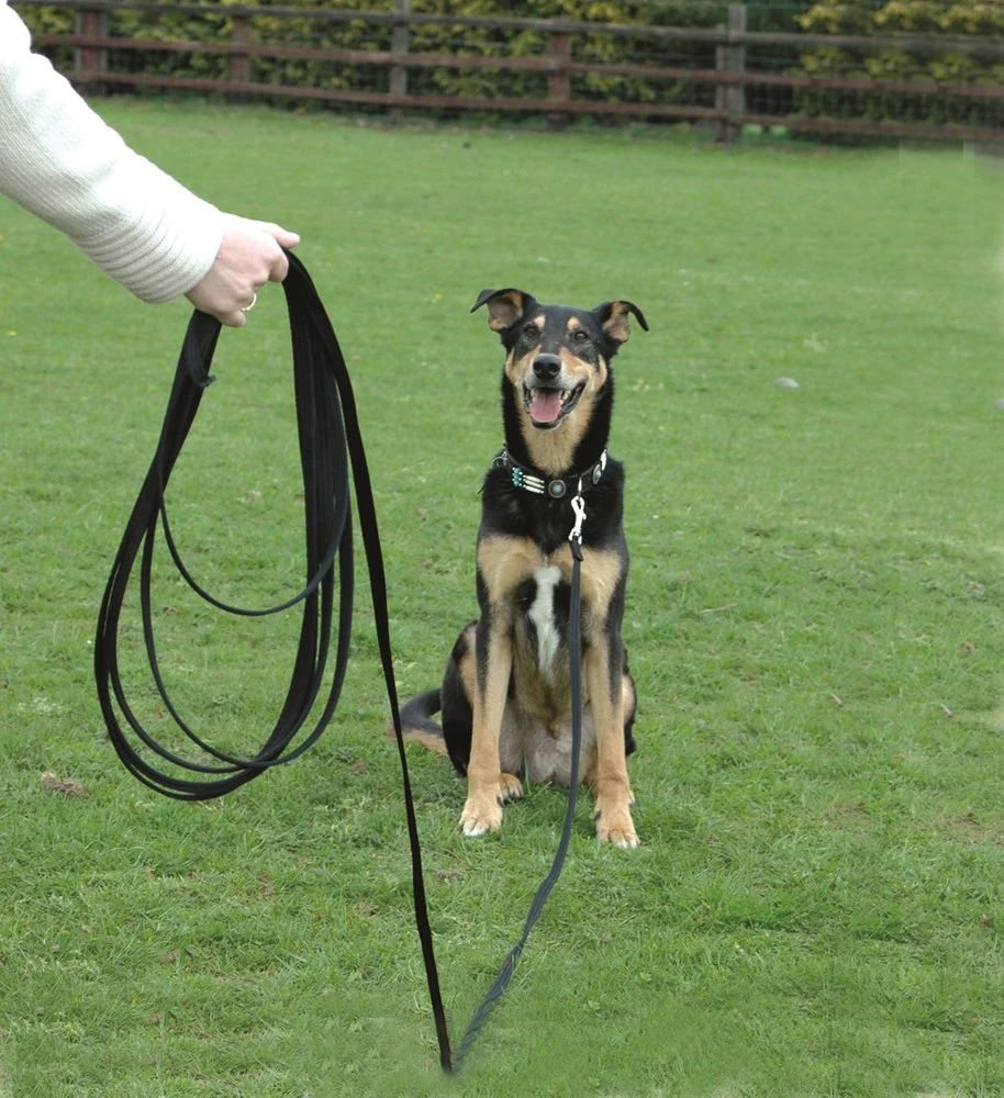 Coachi Training Line 5 Metre Navy & Lime 3 Coachi Training Line 5 Metre Navy & Lime