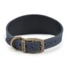 Timberwolf Greyhound Collar Blue - 34-43cm 2 Timberwolf Greyhound Collar Blue - 34-43cm -Kurgo Shop 00909067 large