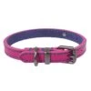 Joules Pink Leather Dog Collar Small -Kurgo Shop 00911421 large