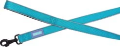 Reflective & Padded Lead Aqua 1" X 48"