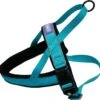Reflective And Padded Harness Aqua 0.75inch X Chest 20-24inch 2 Reflective And Padded Harness Aqua 0.75inch X Chest 20-24inch -Kurgo Shop 00911642 large