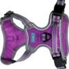 Sports Harness Large Purple 1 Sports Harness Large Purple -Kurgo Shop 00913968 large