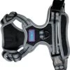 Sports Harness X-Small Black 2 Sports Harness X-Small Black -Kurgo Shop 00913969 large