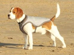 George Barclay ClimaCool Jacket S