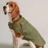 Joules Khaki Bee Dog Coat Small -Kurgo Shop 00914257 large