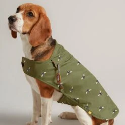 Joules Khaki Bee Dog Coat Small