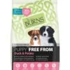 Burns Free From Puppy Duck & Potato 2kg