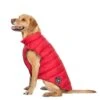 Trespaws Dogby Jacket Red Large -Kurgo Shop 00915802 large