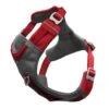 Kurgo Journey Air Harness Red XS 1 Kurgo Journey Air Harness Red XS -Kurgo Shop 00916293 large