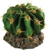 RS Cactus With Rock Base 9.5 X 9.5 X 7cm -Kurgo Shop 00919115 large