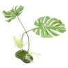 ProRep Artificial Philodendron Monstera Plant 45cm -Kurgo Shop 00919149 large
