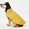 Joules Antique Gold Quilted Coat Small 34cm -Kurgo Shop 00919221 large