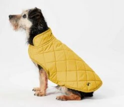 Joules Antique Gold Quilted Coat Small 34cm