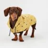 Joules GoLightly Water Resistant Packaway Dog Jacket - Small -Kurgo Shop 00919231 large