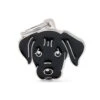 My Family Pet Tag - Black Labrador