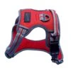 Sports Harness Red - X-Small 1 Sports Harness Red - X-Small -Kurgo Shop 00920957 large