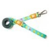 Max & Molly Short Leash Ducklings - X-Small -Kurgo Shop 00921061 large