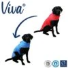 Viva Reversible Coat Red/Blue - X-Small (25cm) -Kurgo Shop 00921591 large