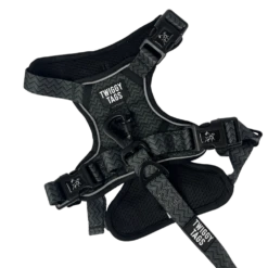 Twiggy Tags Petrichor Adventure Harness Size 2