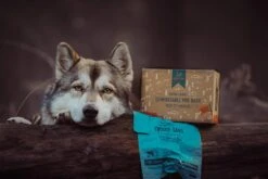 Twiggy Tags XL Compostable Poo Bags 36 Rolls With Tie Handles