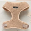 Cocopup London Teddy Rupert Harness Small